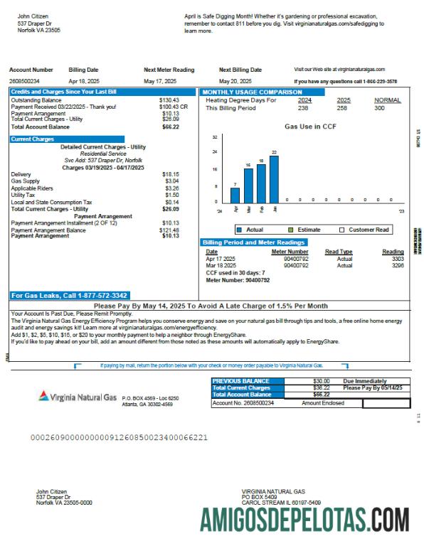 Em branco modelo de conta de serviços públicos de gás natural da Virgínia dos EUA em formatos Word e PDF